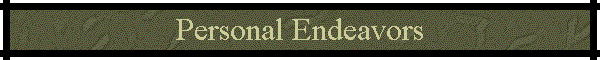 Personal Endeavors