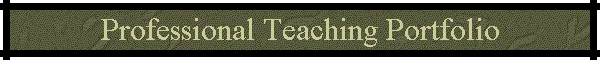 Professional Teaching Portfolio